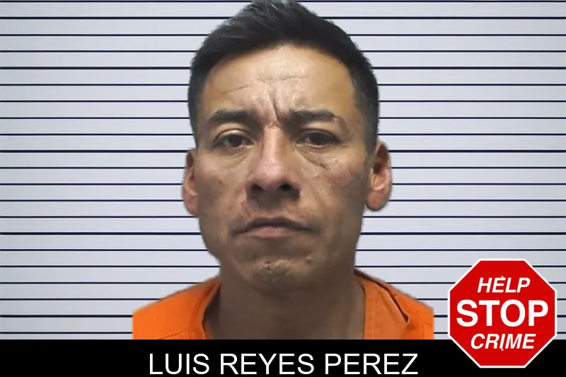 Luis Reyes Perez mugshot
