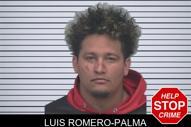 Luis Romero-Palma mugshot
