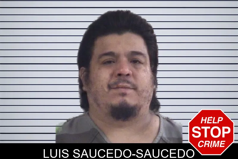 Luis Saucedo-Saucedo mugshot