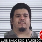 Luis Saucedo-Saucedo mugshot