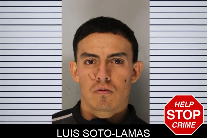 Luis Soto-Lamas mugshot