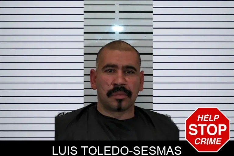 Luis Toledo-Sesmas