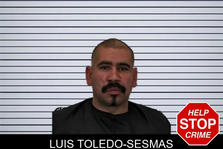 Luis Toledo-Sesmas
