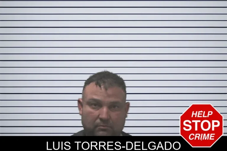 Luis Torres-Delgado