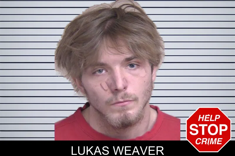Lukas Weaver mugshot