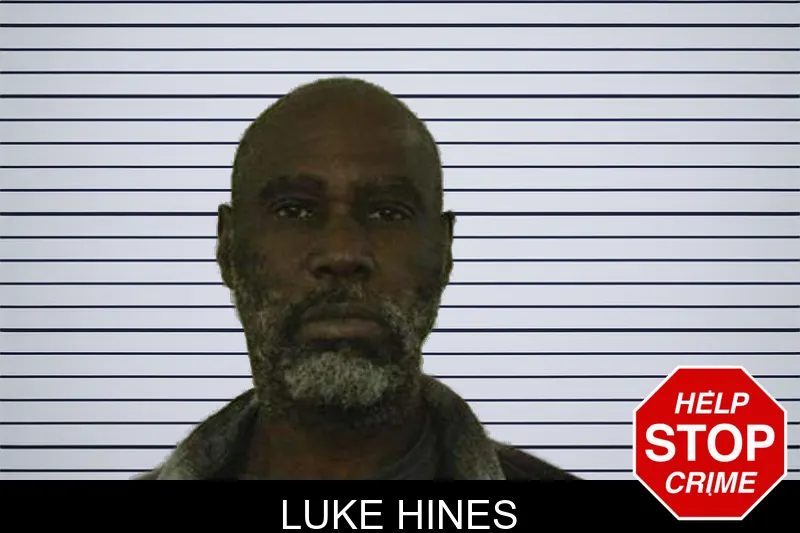 Luke Hines mugshot – Liberty County , Georgia Luke Hines mugshot