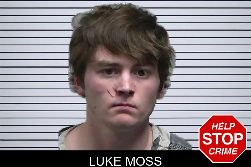 Luke Moss mugshot