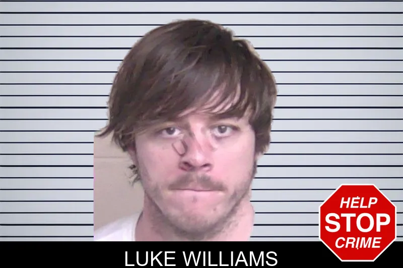 Luke Williams mugshot