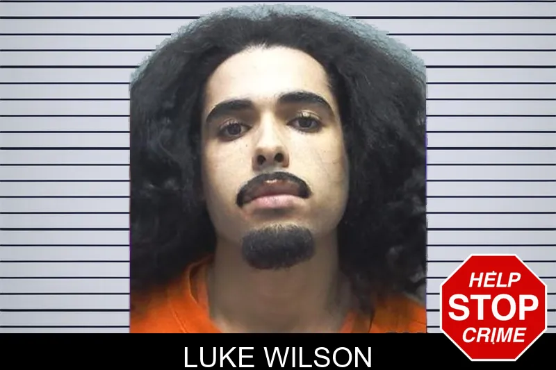 Luke Wilson mugshot