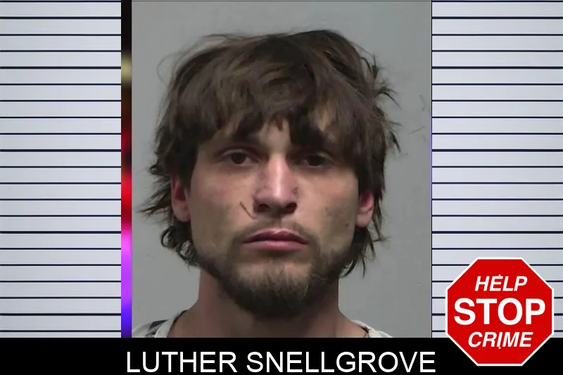 Luther Snellgrove mugshot