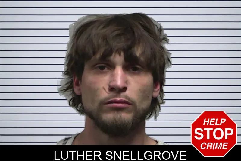 Luther Snellgrove mugshot