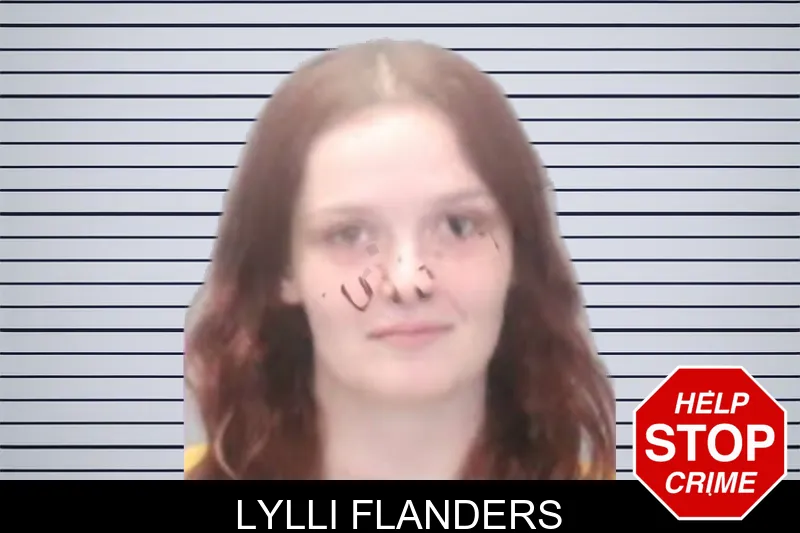 Lylli Flanders mugshot