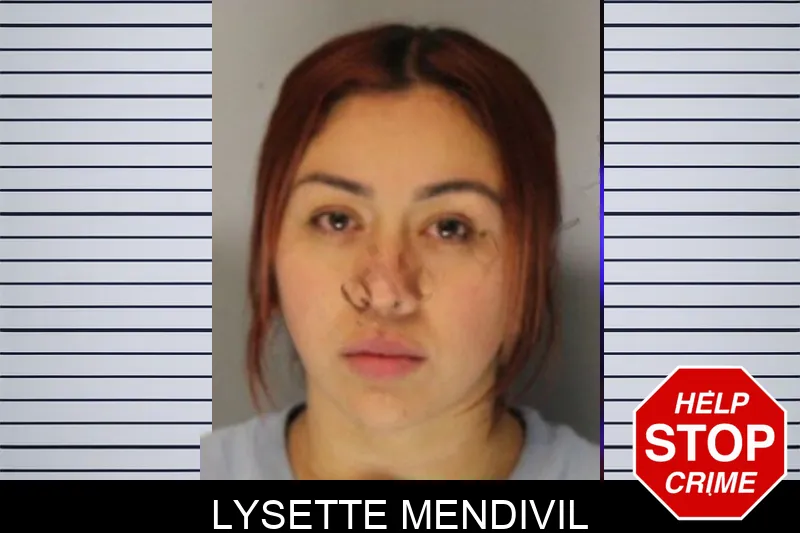 Lysette Mendivil mugshot – Hall County , Georgia Lysette Mendivil mugshot