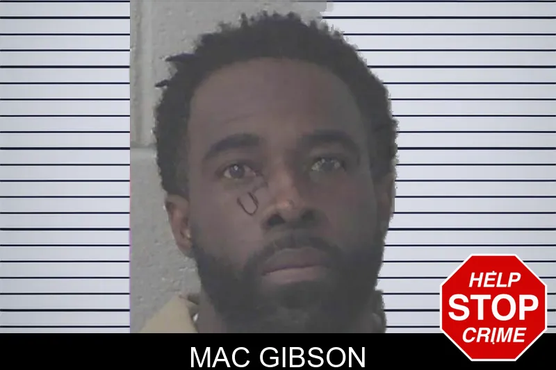 Mac Gibson mugshot