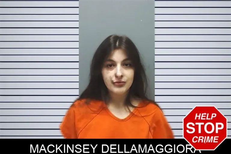 Mackinsey Dellamaggiora
