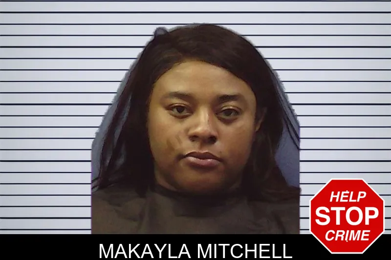 Makayla Mitchell mugshot – Chattooga County , Georgia Makayla Mitchell mugshot