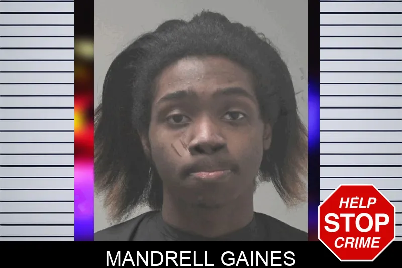 Mandrell Gaines mugshot