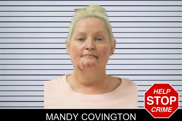 Mandy Covington mugshot – Toombs County , Georgia Mandy Covington