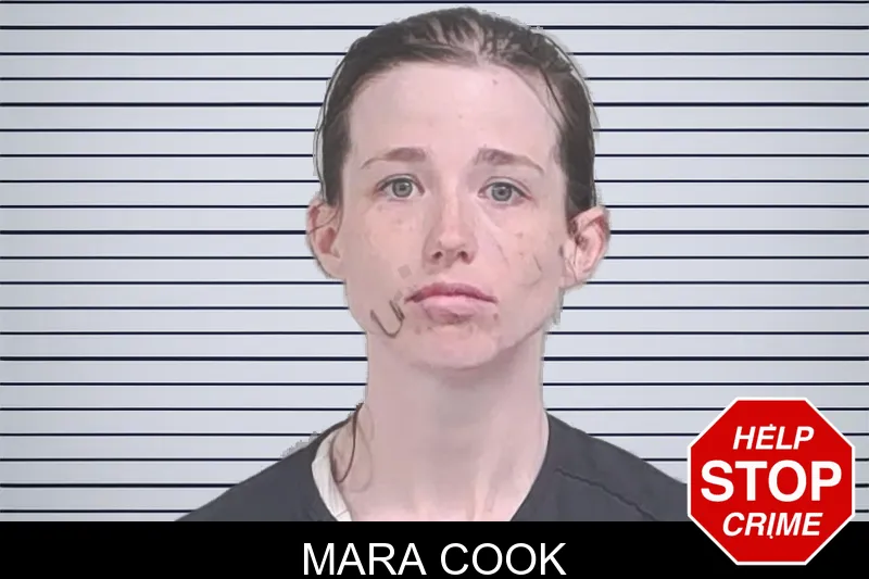 Mara Cook mugshot – Lowndes County , Georgia Mara Cook mugshot