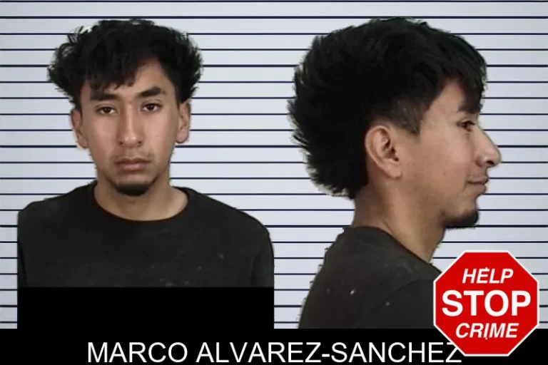 Marco Alvarez-Sanchez