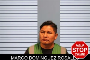 Marco Dominguez Rosales mugshot