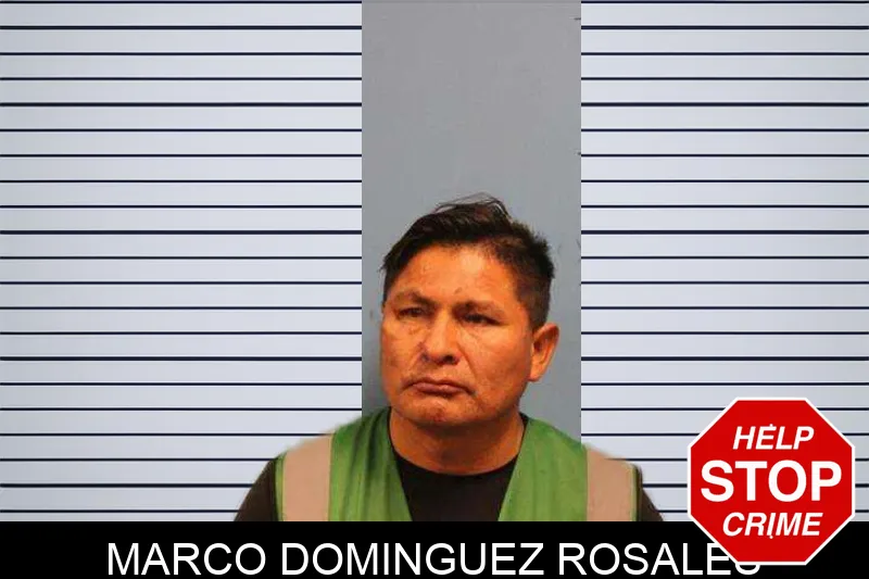 Marco Dominguez Rosales mugshot