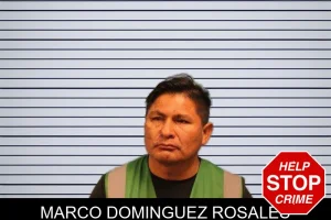 Marco Dominguez Rosales mugshot