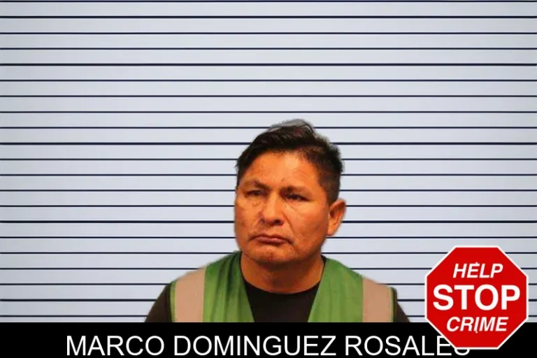 Marco Dominguez Rosales