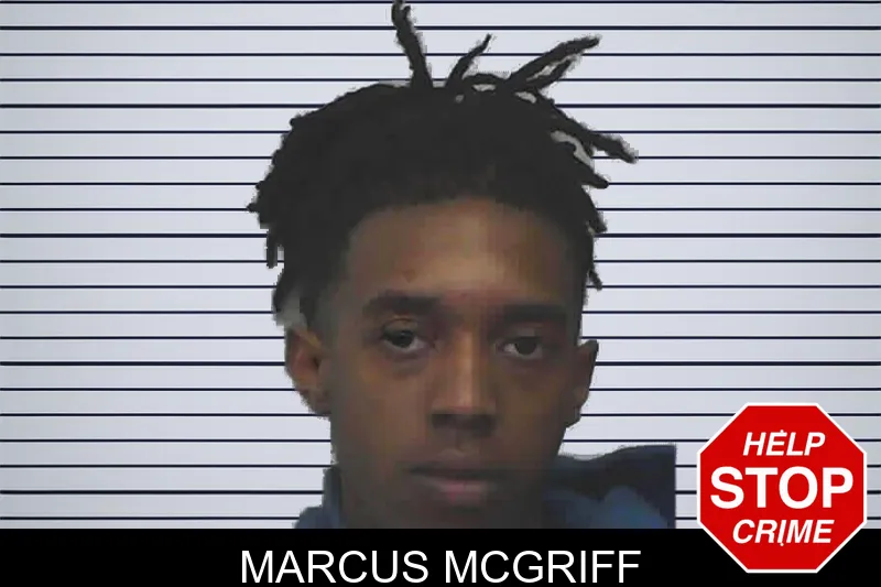 Marcus McGriff mugshot – Lanier County , Georgia Marcus McGriff mugshot