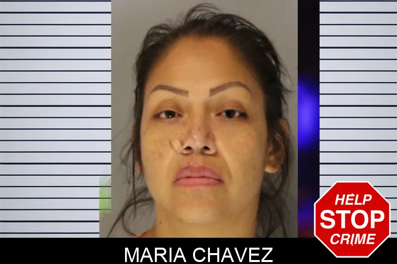 Maria Chavez mugshot