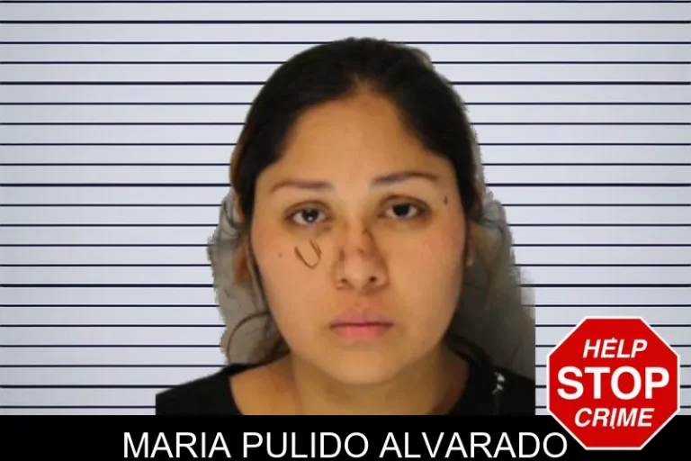 Maria Pulido Alvarado mugshot – Hall County , Georgia Maria Pulido Alvarado