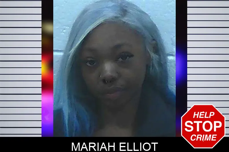 Mariah Elliot mugshot – Jackson County , Georgia Mariah Elliot mugshot