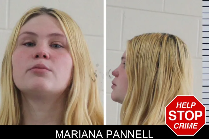 Mariana Pannell mugshot – Houston County , Georgia Mariana Pannell mugshot