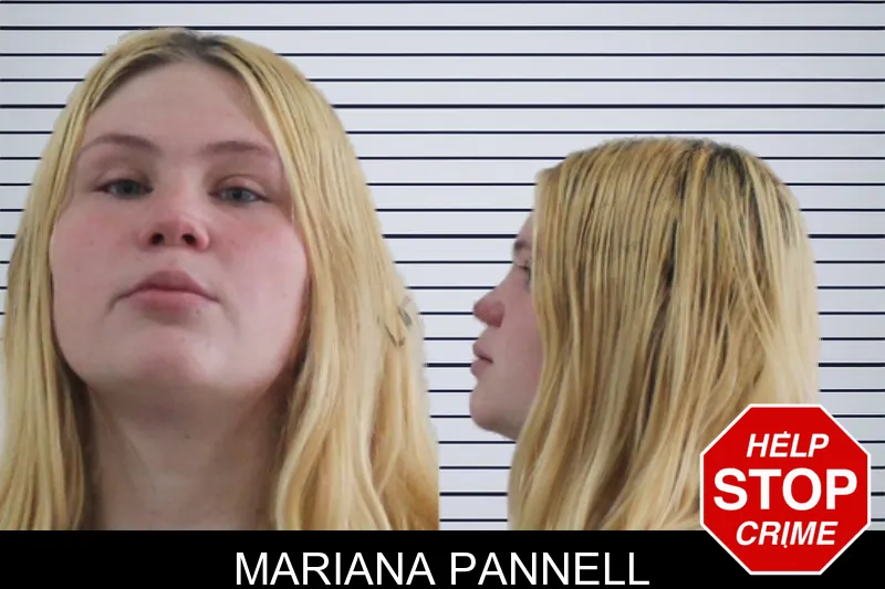 Mariana Pannell mugshot – Houston County , Georgia Mariana Pannell mugshot
