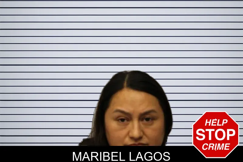 Maribel Lagos mugshot