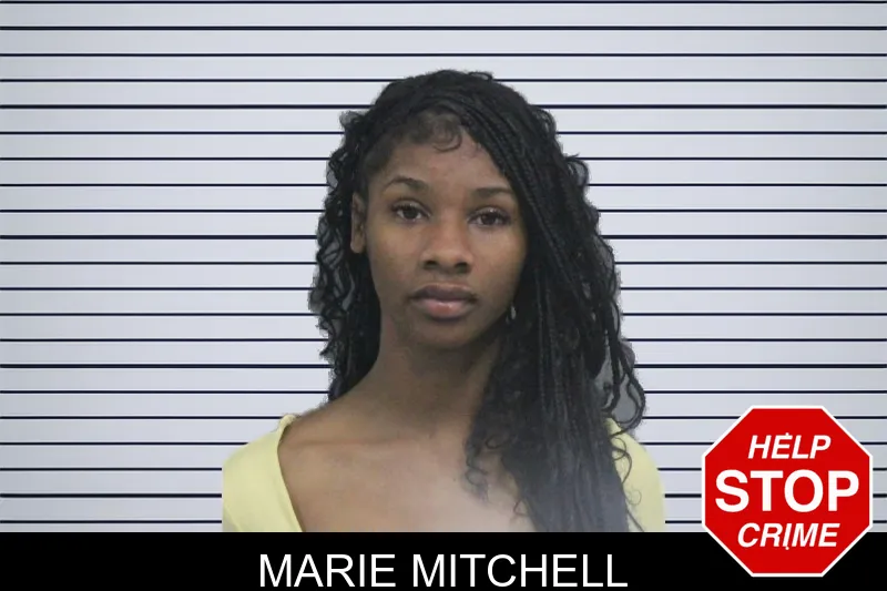 Marie Mitchell mugshot