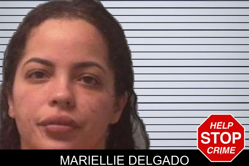 Mariellie Delgado mugshot
