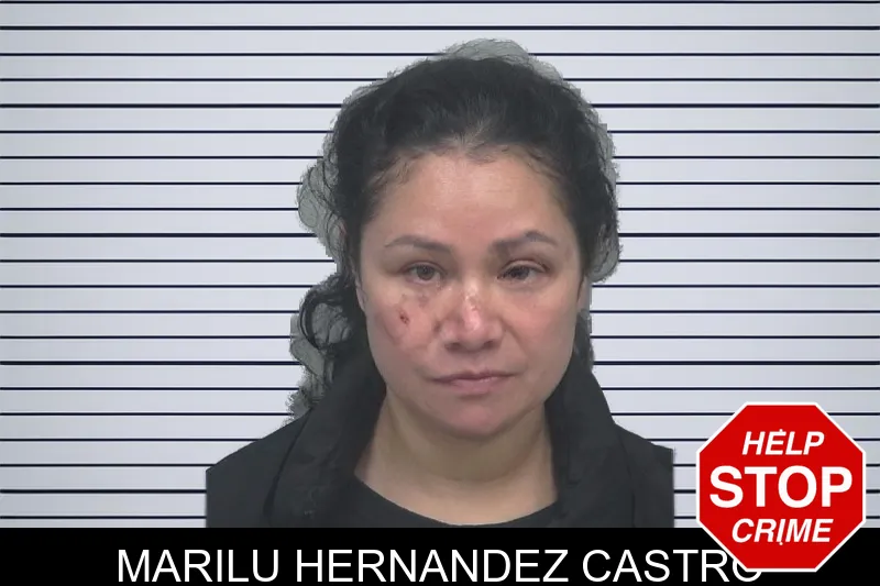 Marilu Hernandez Castro mugshot