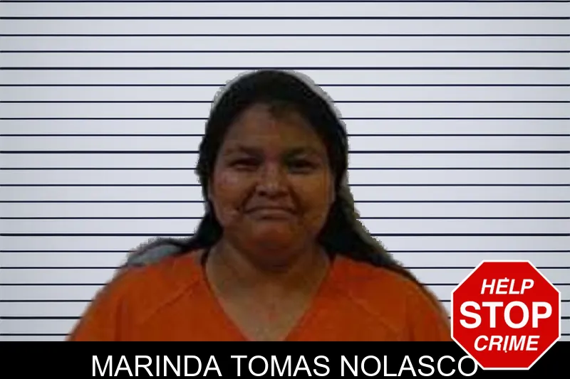 Marinda Tomas Nolasco mugshot – Polk County , Georgia Marinda Tomas Nolasco mugshot