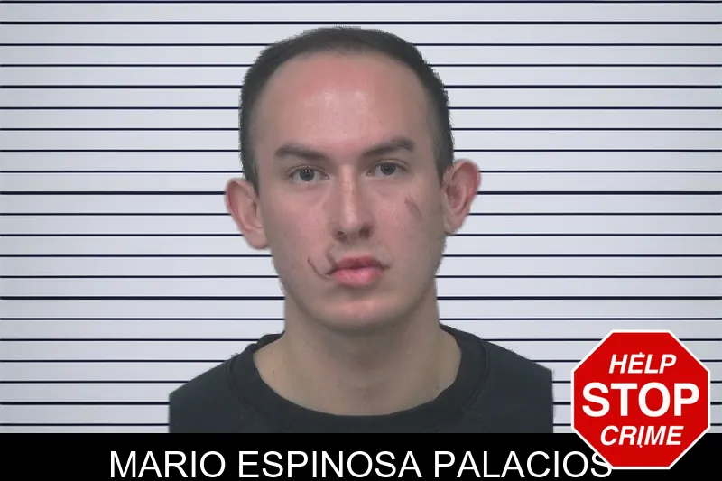 Mario Espinosa Palacios mugshot – Gwinnett County , Georgia Mario Espinosa Palacios mugshot