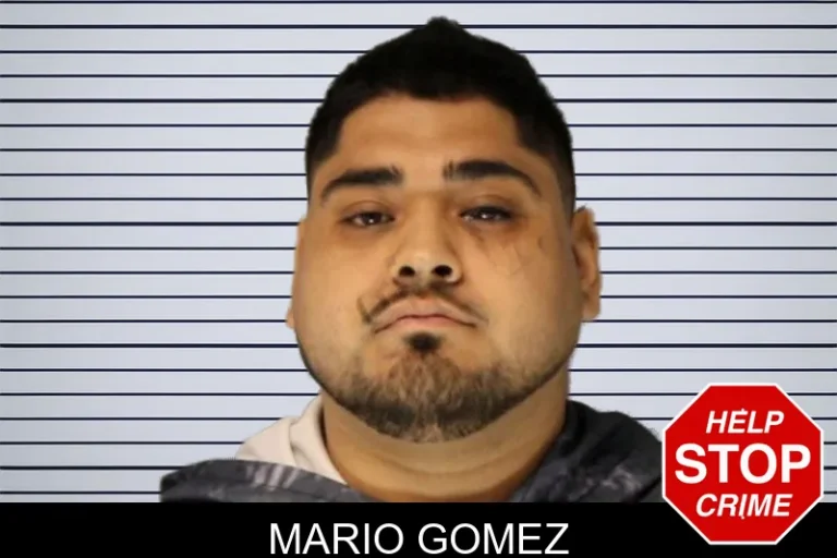 Mario Gomez