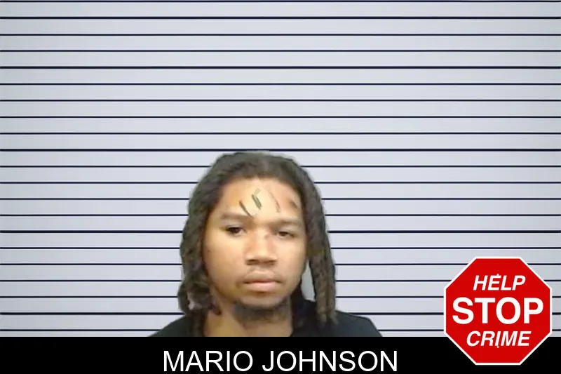 Mario Johnson mugshot