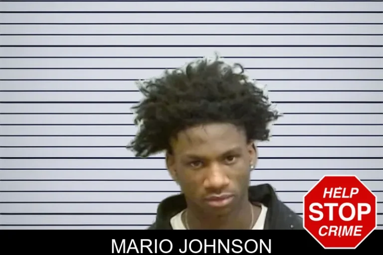 Mario Johnson mugshot – Fulton County , Georgia Mario Johnson