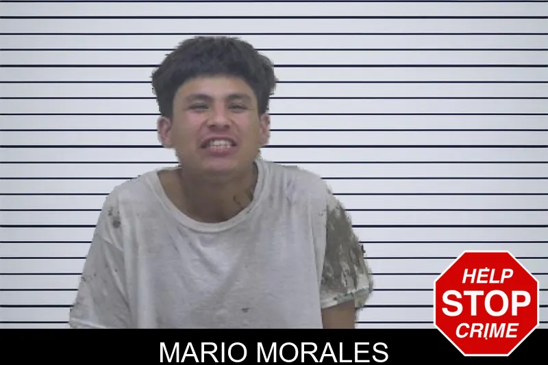 Mario Morales mugshot – Coffee County , Georgia Mario Morales mugshot