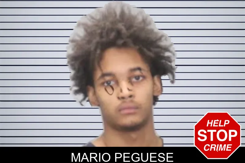 Mario Peguese mugshot