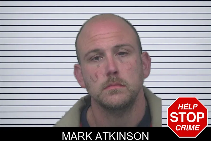 Mark Atkinson mugshot
