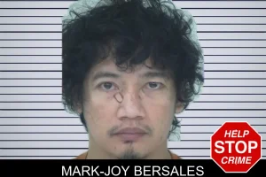 Mark-Joy Bersales mugshot
