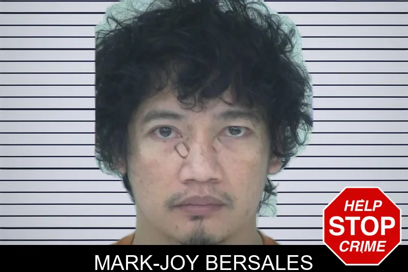 Mark-Joy Bersales mugshot