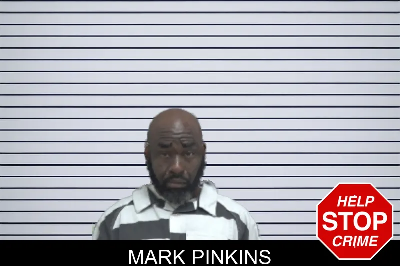 Mark Pinkins mugshot