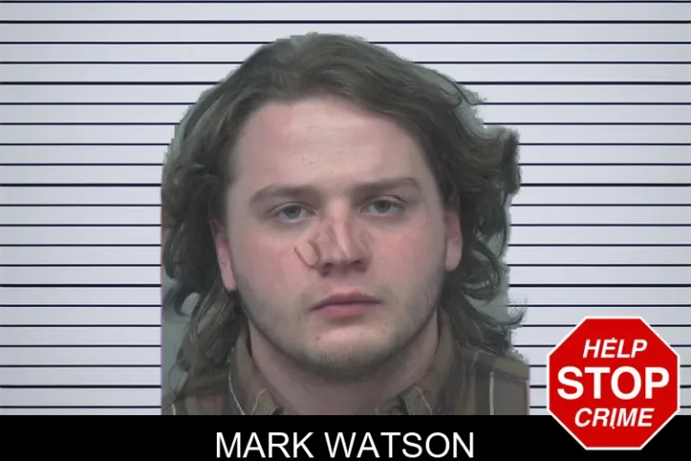 Mark Watson mugshot – Gwinnett County , Georgia Mark Watson